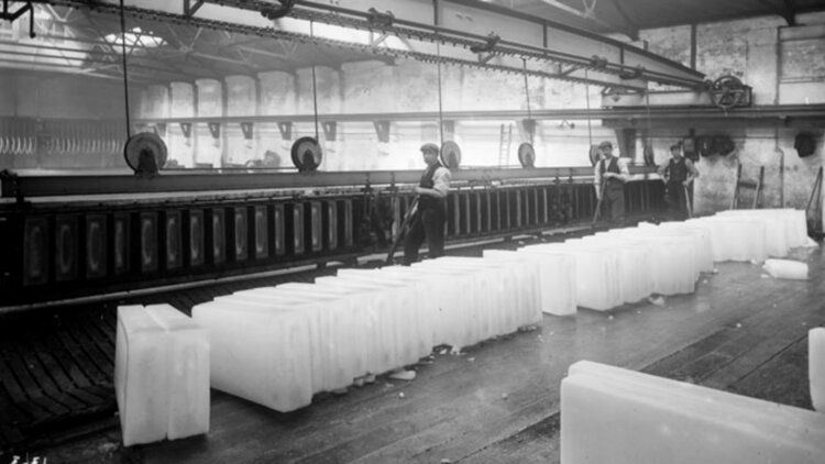 İşletmeler bir buz makinesine ihtiyaçları olup olmadığını nasıl anlar?