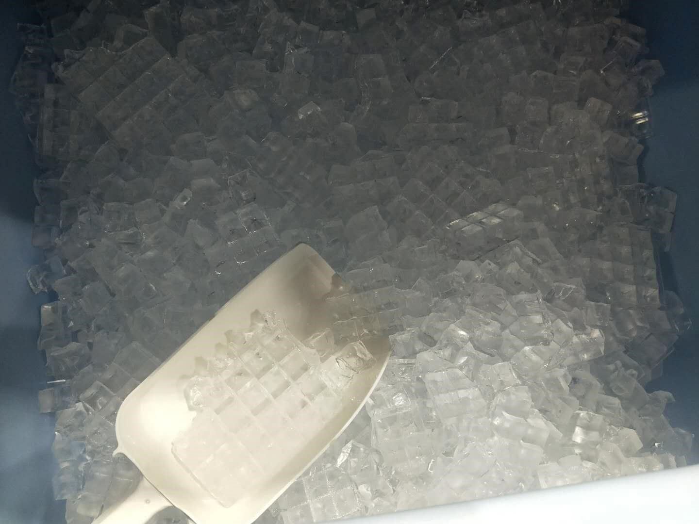 Kirlenmiş Buza Karşı Koruma